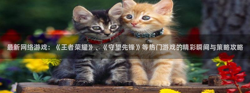 长征娱乐注册开户：最新网络游戏：《王者荣耀》、《守望先锋》等