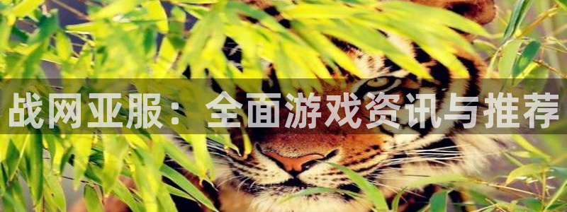 长征娱乐平台官网登录：战网亚服：全面游戏资讯与推荐