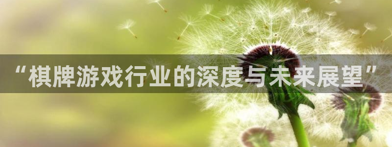 长征娱乐网址官网：“棋牌游戏行业的深度与未来展望”