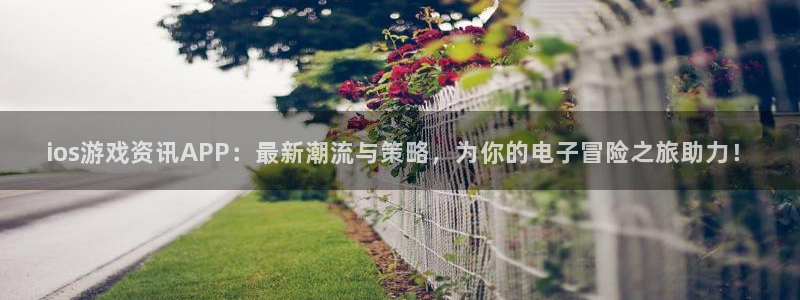 长征娱乐平台负责人：ios游戏资讯APP：最新潮流与策略，为