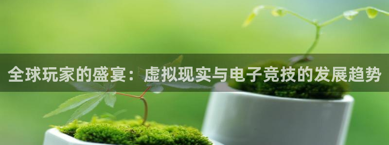 长征娱乐注册：全球玩家的盛宴：虚拟现实与电子竞技的发展趋势