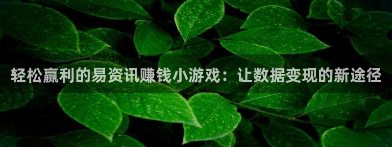 长征娱乐游戏：轻松赢利的易资讯赚钱小游戏：让数据变现的新途径