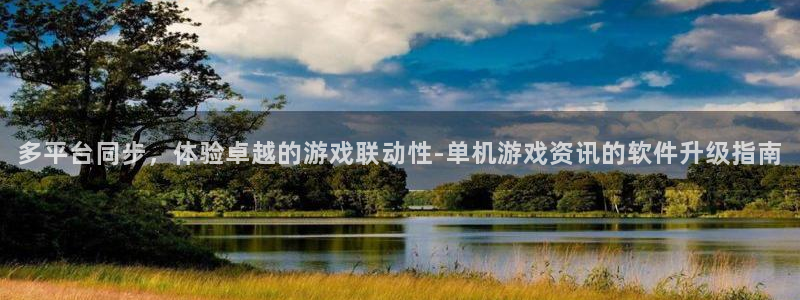 长征娱乐平台负责人：多平台同步，体验卓越的游戏联动性-单机游