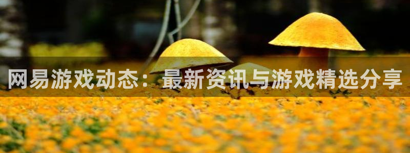 长征娱乐注册测速：网易游戏动态：最新资讯与游戏精选分享