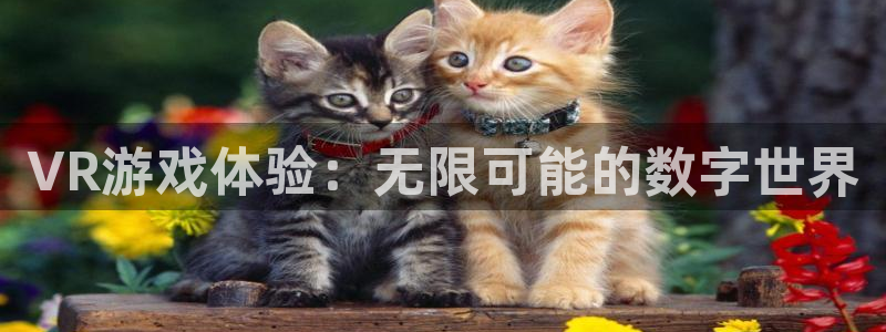长征娱乐注册登录平台：VR游戏体验：无限可能的数字世界