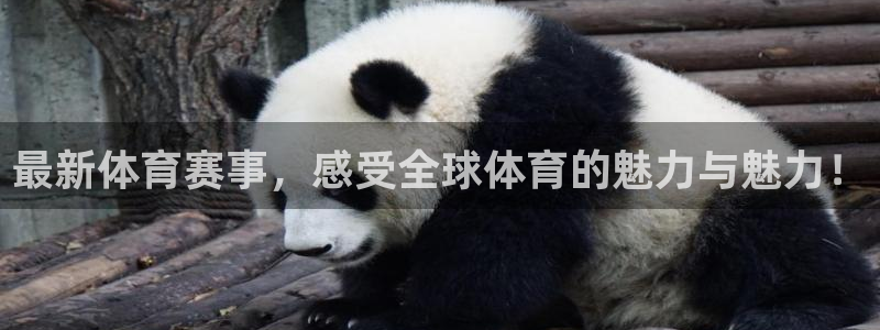 黑白直播nba免费观看篮球