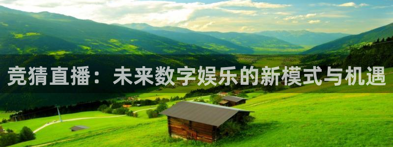 黑白直播足球直播免费观看：竞猜直播：未来数字娱乐的新模式与机遇