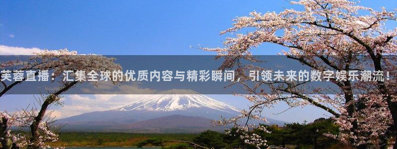 黑白直播体育免费版下载：芙蓉直播：汇集全球的优质内容与精彩瞬间，引领未来的数字娱乐潮流！